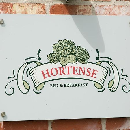 B&B Hortense Koekelare 外观 照片