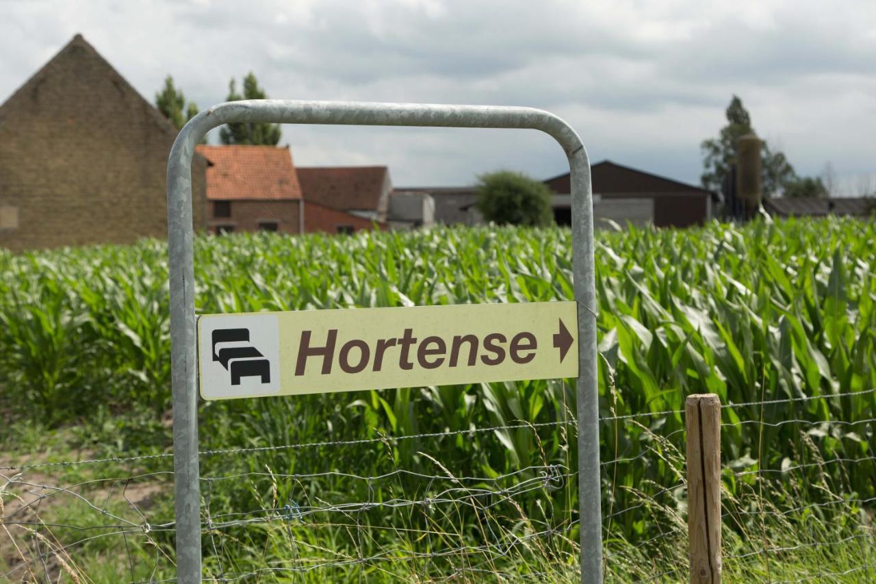 B&B Hortense Koekelare 外观 照片